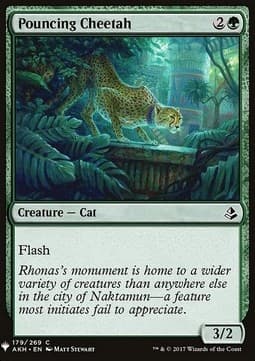 Pouncing Cheetah