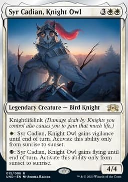 Syr Cadian, Knight Owl