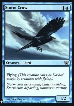 Storm Crow