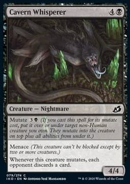 Cavern Whisperer