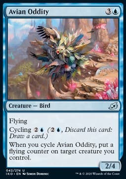 Avian Oddity