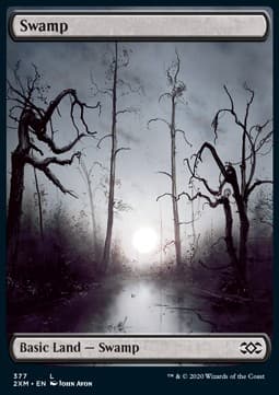 Swamp