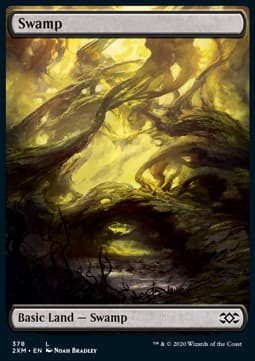 Swamp