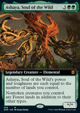 Ashaya, Soul of the Wild