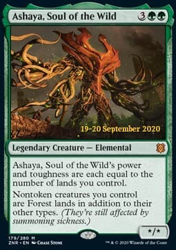 Ashaya, Soul of the Wild