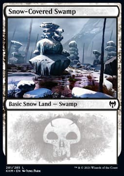Snow-Covered Swamp