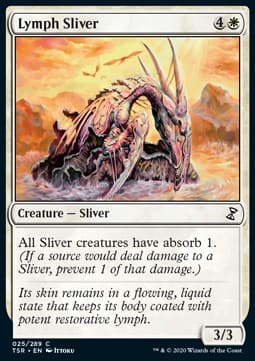 Lymph Sliver