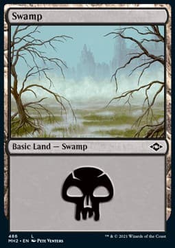 Swamp