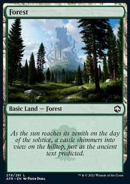 Forest