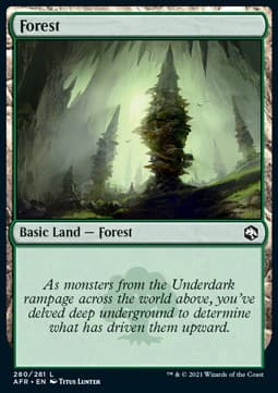 Forest