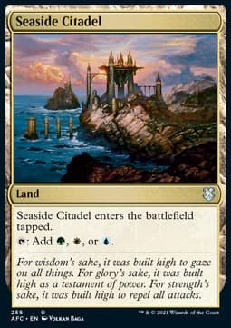 Seaside Citadel