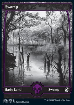 Swamp