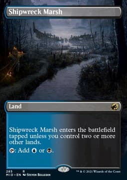 Shipwreck Marsh