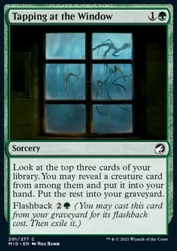 Tapping at the Window