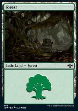 Forest