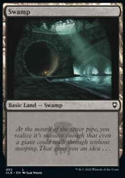 Swamp