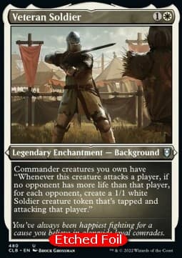 Veteran Soldier
