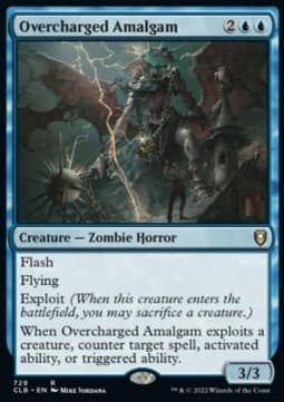 Overcharged Amalgam