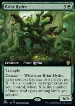 Briar Hydra