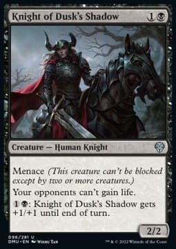 Knight of Dusk's Shadow