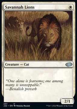 Savannah Lions