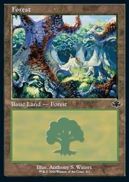 Forest