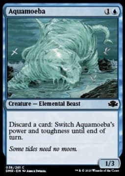 Aquamoeba