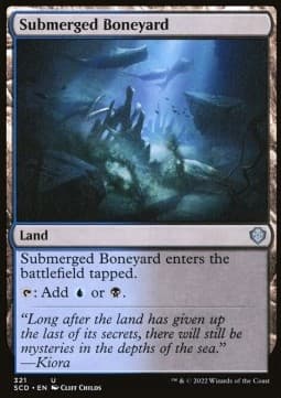 Submerged Boneyard