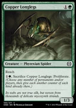 Copper Longlegs