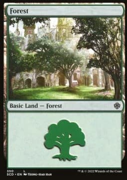 Forest