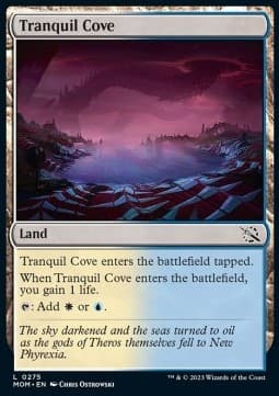 Tranquil Cove