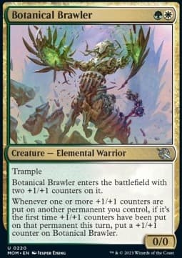 Botanical Brawler