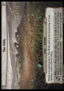 The Wilds