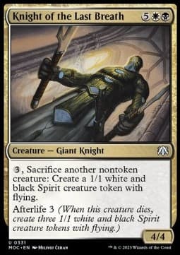 Knight of the Last Breath