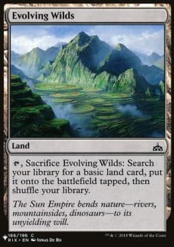 Evolving Wilds