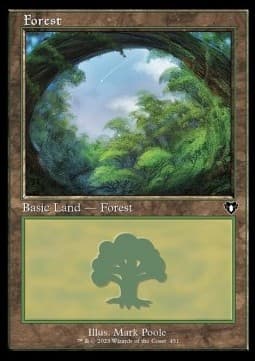 Forest