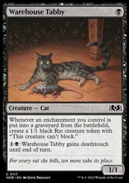 Warehouse Tabby
