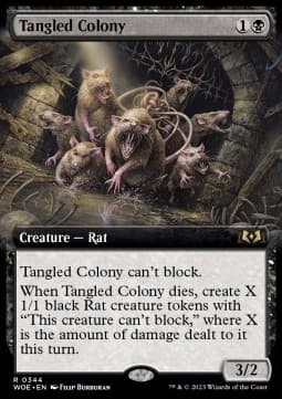 Tangled Colony