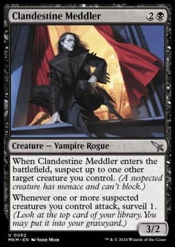 Clandestine Meddler