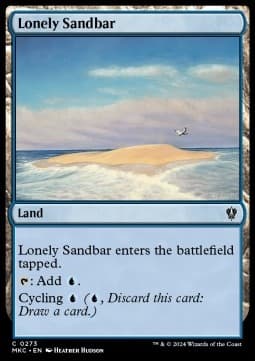 Lonely Sandbar