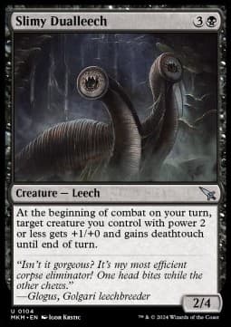 Slimy Dualleech