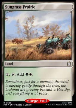 Sungrass Prairie