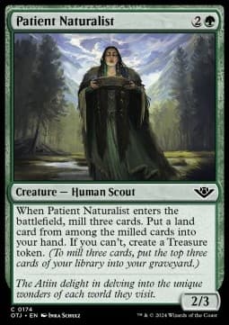 Patient Naturalist