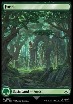 Forest