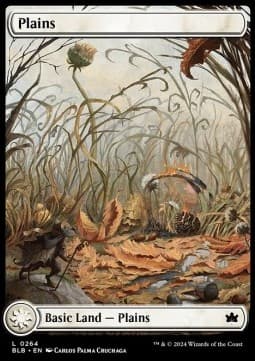 Plains