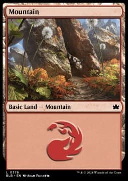 Mountain