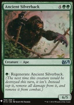 Ancient Silverback