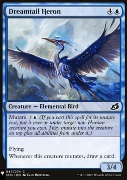 Dreamtail Heron