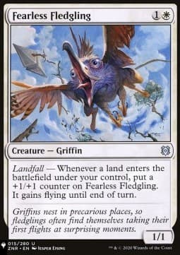 Fearless Fledgling