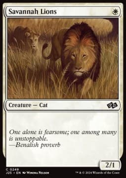 Savannah Lions